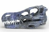 Carved Sodalite Dinosaur Skull #218483-1